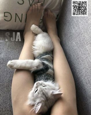 美日韩黄色网络_4K免费在线观看